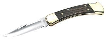 Buck 110 Classic Folding Hunter Knife